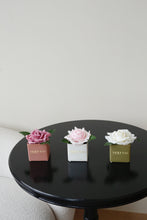 將圖片載入圖庫檢視器 VICKY YAO x Kogan - Natural Touch Super Large 12cm Fuchsia Pearl White Damask Rose &amp; Luxury Fragrance Gift Box 50ml