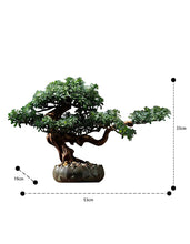 Load image into Gallery viewer, VICKY YAO Faux Bonsai - Natural Artificial Bonsai Art Gift for Him in Lotus Medium Pot