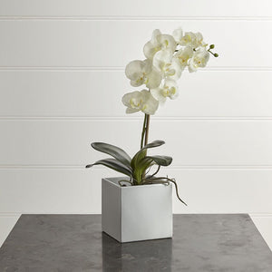VICKY YAO Faux Floral - Natural Touch Artificial 1 Stem Orchid Floral Arrangement In Ceramic Cube Pot