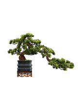 Laden Sie das Bild in den Galerie-Viewer, VICKY YAO Bonsai Art - Exclusive Design Oriental Aesthetics Faux Realistic Bonsai Art In Bamboo Chinoiserie Style Yixing Clay Pot
