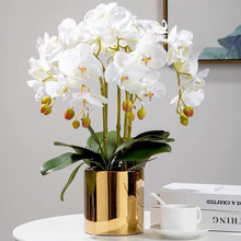 Load image into Gallery viewer, VICKY YAO Faux Floral - Exclusive Design Real Touch Artificial 5Stems White Orchid Flower Arrangement