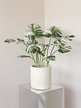 Load image into Gallery viewer, VICKY YAO Faux Plant - Real Touch Faux Monstera albo Art In Ceramic Pot