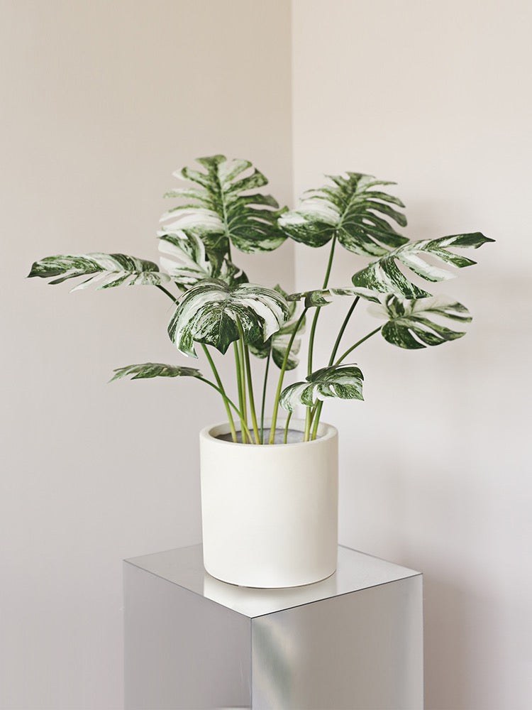 VICKY YAO Faux Plant - Real Touch Faux Monstera albo Art In Ceramic Pot