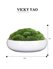 將圖片載入圖庫檢視器 VICKY YAO Preserved Moss - Exclusive Design Preserved Moss Bowl Art In Ceramic Pot