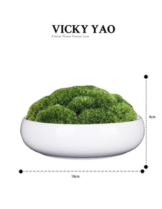 VICKY YAO Preserved Moss - Exclusive Design Preserved Moss Bowl Art In Ceramic Pot
