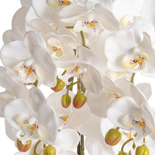 將圖片載入圖庫檢視器 VICKY YAO Faux Floral - Exclusive Design Real Touch Artificial 5Stems White Orchid Flower Arrangement