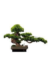 Laden Sie das Bild in den Galerie-Viewer, VICKY YAO Faux Bonsai - Artificial Bonsai Tree in Realistic 4 feet Ceramic Pot 70x25x45cm