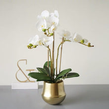 Load image into Gallery viewer, Vicky Yao Faux Floral -Real Touch White Butterfly Orchid Golden Pot - Vicky Yao Home Decor SEO