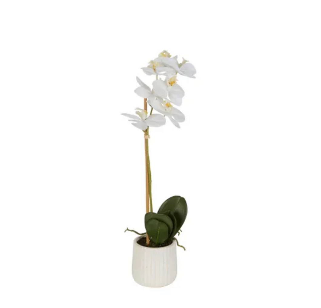 Vicky Yao Fragrance - Real Touch Artificial  Orchid 1 Stem Flower Arrangement White Pot
