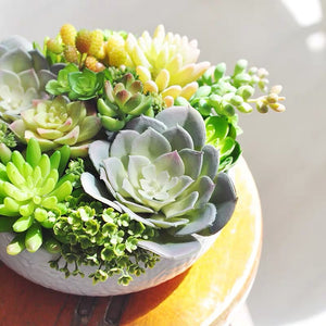 Vicky Yao Faux Floral - Real Touch colorful Succulents Arrangement - Vicky Yao Home Decor SEO