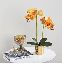 Laden Sie das Bild in den Galerie-Viewer, VICKY YAO Faux Floral - Exclusive Design Orange Artificial Phalaenopsis Orchid Arrangement