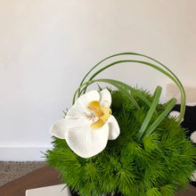 画像をギャラリービューアに読み込む, Vicky Yao Faux Floral -Exclusive Design Faux Green Orchid Arrangement