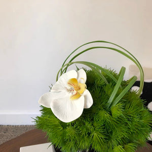 Vicky Yao Faux Floral -Exclusive Design Faux Green Orchid Arrangement