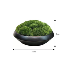 画像をギャラリービューアに読み込む, VICKY YAO Preserved Moss - Exclusive Design Preserved Moss Bowl Art In Ceramic Pot