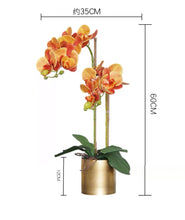 將圖片載入圖庫檢視器 Vicky Yao Faux Floral - Exclusive Design Orange Artificial Phalaenopsis Orchid Arrangement