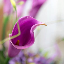 將圖片載入圖庫檢視器 Vicky Yao Faux Floral - Exclusive Design Artificial Purple Calla Lily Rose Flower Arrangement In Urn