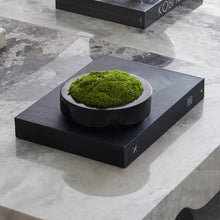 將圖片載入圖庫檢視器 Vicky Yao Faux Plant - Exclusive Design Artificial Moss Marble Bowl Arrangement