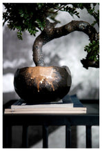 画像をギャラリービューアに読み込む, VICKY YAO Faux Plant - Exclusive Design Artificial Bonsai Arrangement