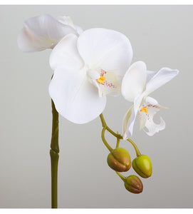 VICKY YAO Faux Floral - Exclusive Design Real Touch Artificial 5Stems White Orchid Flower Arrangement