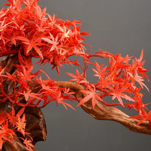 Load image into Gallery viewer, VICKY YAO Faux Plant - Exclusive Design Artificial Red Maple Leaf Bonsai Arrangemen