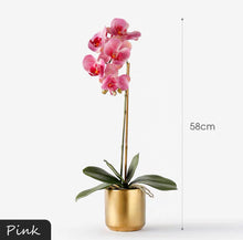 Load image into Gallery viewer, Vicky Yao Faux Floral - Real Touch Artificial Orchid Flower Arrangement Golden Pot