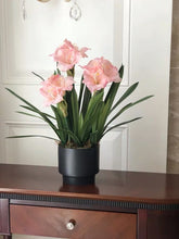 画像をギャラリービューアに読み込む, VICKY YAO Faux Floral - Exclusive Design Luxury Artificial Hippeastrum Flower Arrangement