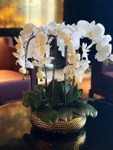 VICKY YAO Faux Floral - Best Popular Handmade Exclusive Design Natural Touch Artificial Orchids In Ceramic Golden Pot