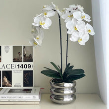 画像をギャラリービューアに読み込む, VICKY YAO Faux Floral - Birthday Gift Real Touch Faux Orchid Arrangement In Silver Pot