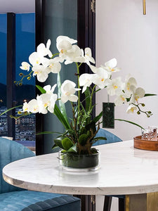 Vicky Yao Faux Floral - Exclusive Design White Faux Orchid Arrangement With Glass Pot