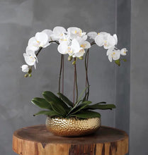 画像をギャラリービューアに読み込む, VICKY YAO Faux Floral - Best Popular Handmade Exclusive Design Natural Touch Artificial Orchids In Ceramic Golden Pot