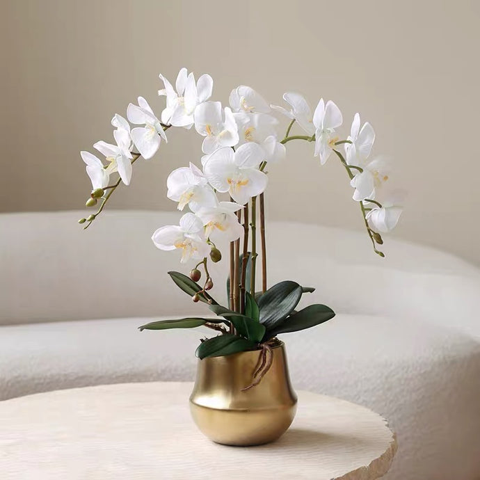 Vicky Yao Faux Floral -Exclusive Design Real Touch Exclusive Design Luxury Faux Orchids Arrangement in Golden Pot