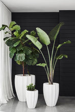 Load image into Gallery viewer, Vicky Yao Faux Plant - Huge Artificial Bird of Paradise Plant Arrangement (Only Melbourne)