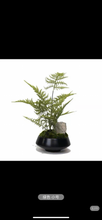 Load image into Gallery viewer, VICKY YAO Faux Bonsai - Exclusive Design Artificial Bonsai Stone Art