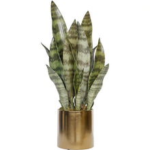 Load image into Gallery viewer, VICKY YAO Faux Plant - Exclusive Design Artificial Snake Plant in Pot