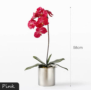 Vicky Yao Faux Floral - Real Touch Artificial  Orchid 1 Stem Flower Arrangement Silver Pot