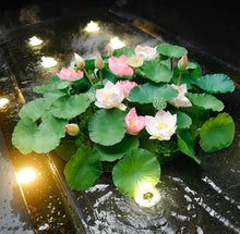 Laden Sie das Bild in den Galerie-Viewer, VICKY YAO Faux Floral - Handmade Oriental Aesthetic Artificial Lotus Flower Arrangement