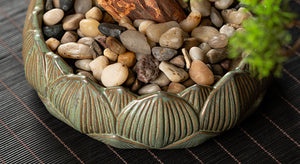 VICKY YAO Faux Bonsai - Natural Artificial Bonsai Art Gift for Him in Lotus Medium Pot