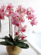 画像をギャラリービューアに読み込む, VICKY YAO Faux Floral - Exclusive Design Faux Phalaenopsis Orchid Flowers Arrangement