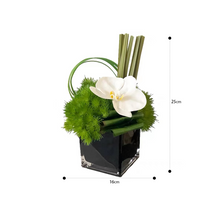 Load image into Gallery viewer, Vicky Yao Faux Floral -Exclusive Design Faux Green Orchid Arrangement