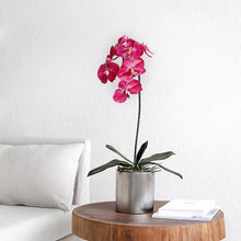 Load image into Gallery viewer, Vicky Yao Faux Floral - Real Touch Artificial  Orchid 1 Stem Flower Arrangement Silver Pot