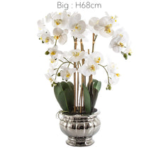 Laden Sie das Bild in den Galerie-Viewer, VICKY YAO Faux Floral - Artificial Phalaenopsis Orchid Arrangement In Silver Pot