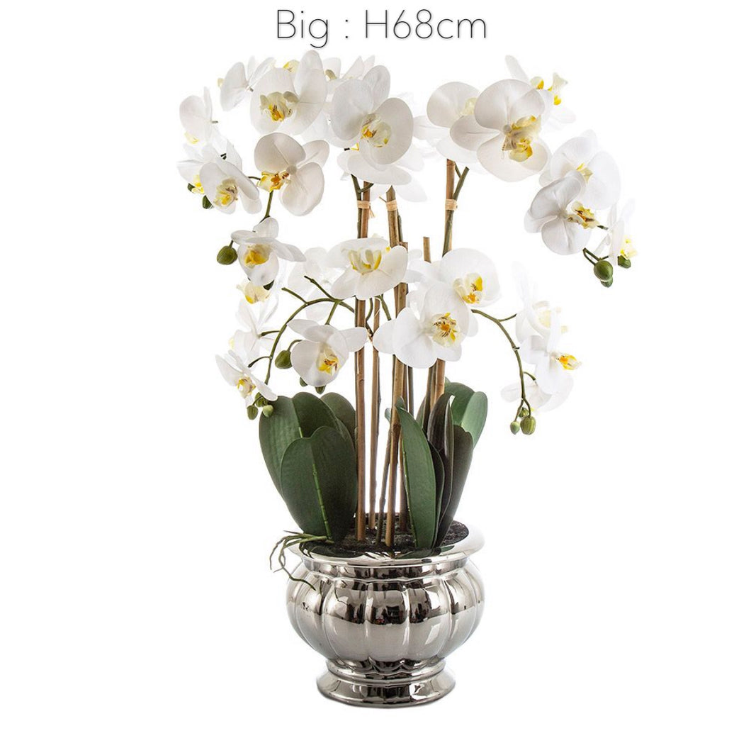 VICKY YAO Faux Floral - Artificial Phalaenopsis Orchid Arrangement In Silver Pot