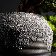 Laden Sie das Bild in den Galerie-Viewer, VICKY YAO Faux Bonsai - Exclusive Design Natural Artificial Bonsai Arrangement 60cm H Gift For Him