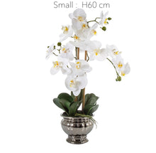 画像をギャラリービューアに読み込む, VICKY YAO Faux Floral - Artificial Phalaenopsis Orchid Arrangement In Silver Pot