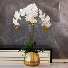 Load image into Gallery viewer, VICKY YAO Faux Floral - Real Touch Exclusive Design Flower art of Phalaenopsis Orchid Golden Pot