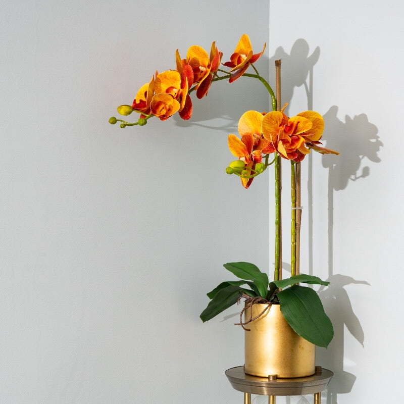 Vicky Yao Faux Floral - Exclusive Design Orange Artificial Phalaenopsis Orchid Arrangement