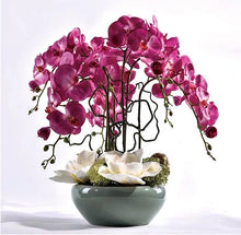 Laden Sie das Bild in den Galerie-Viewer, Vicky Yao Faux Floral - Exclusive Design Luxury Real Touch Artificial Orchid Arrangement In Pot