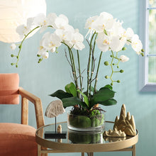 Laden Sie das Bild in den Galerie-Viewer, Vicky Yao Faux Floral - Exclusive Design Faux Orchid Arrangement With Glass Pot