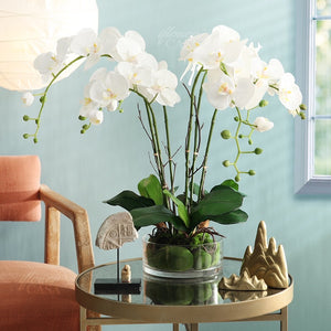 Vicky Yao Faux Floral - Exclusive Design Faux Orchid Arrangement With Glass Pot