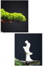 Load image into Gallery viewer, VICKY YAO Faux Bonsai- Exclusive Design Artificial Landscape Bonsai Gift For Him